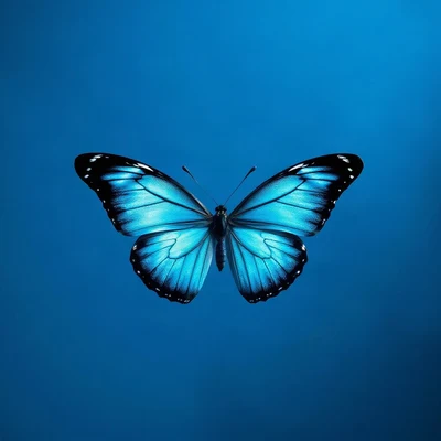 blue pfp — butterfly, cinematic photo style, soft glow