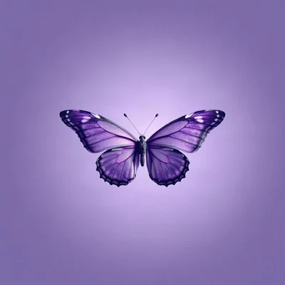 purple pfp — butterfly, soft 3d render, soft glow