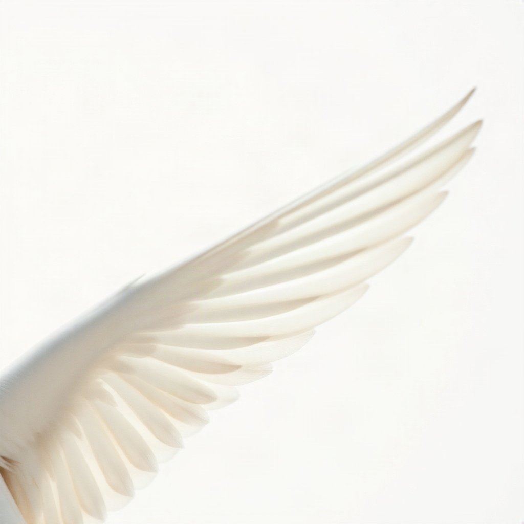 White PFPs — dove wing detail, cinematic photo style, soft glow